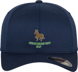Elton CC Flexi Cap Navy